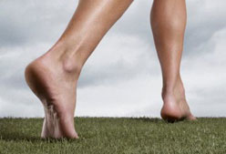 WWW SPORTLIFE ES www sportlife es: