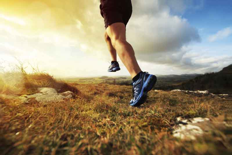 WWW SPORTLIFE ES www sportlife es:
