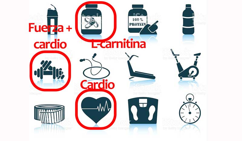 plan de dieta para adelgazar plan de dieta para adelgazar