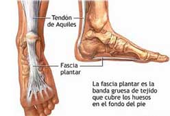 VIDEOS DE LESIONES DE FUTBOLISTAS videos de lesiones de futbolistas: