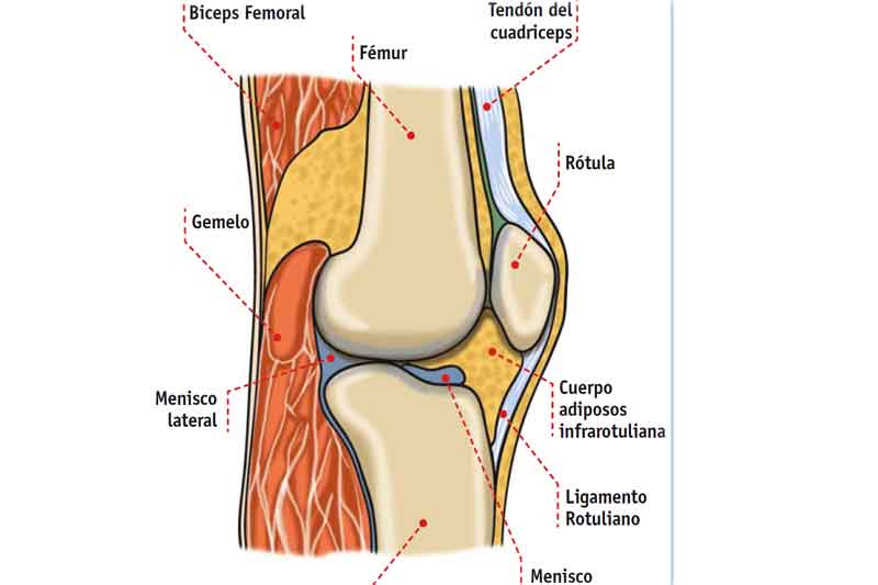 Posibles lesiones de rodilla