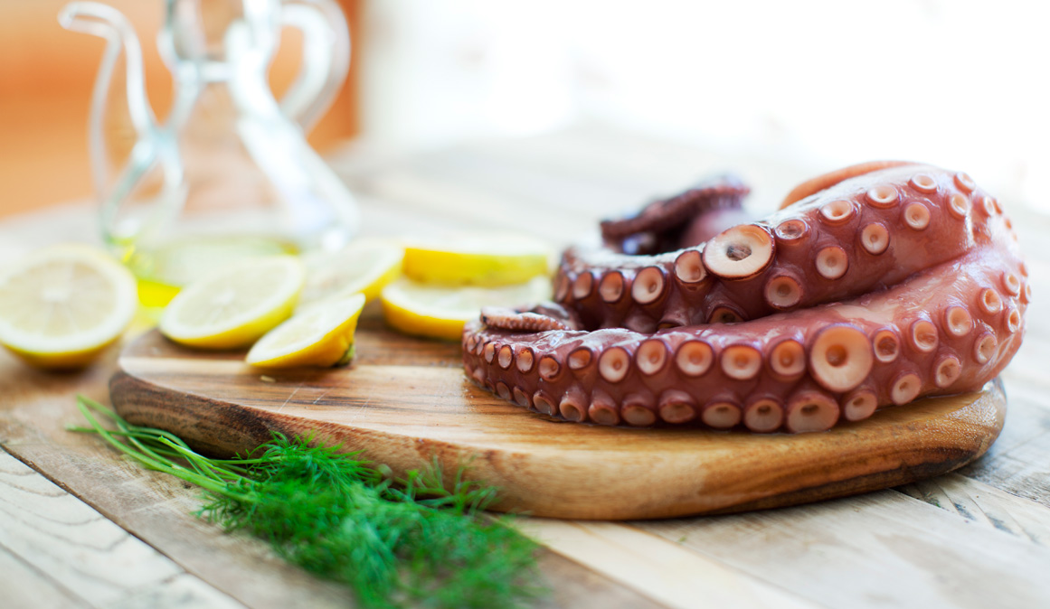 Pulpo, un superalimento proteico y antiinflamatorio
