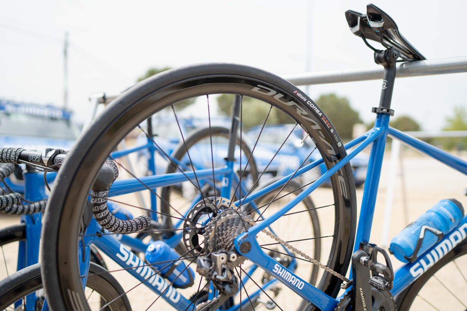 Vittoria Corsa NEXT presentación