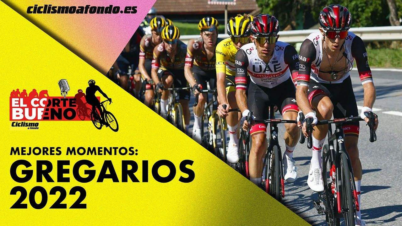 Mejores momentos de los Gregarios 2022. Mejores momentos de los Gregarios 2022.