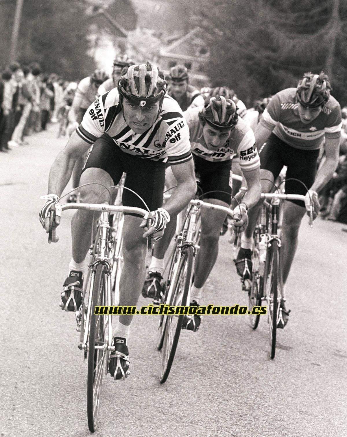25 mejores fotos de Bernard Hinault