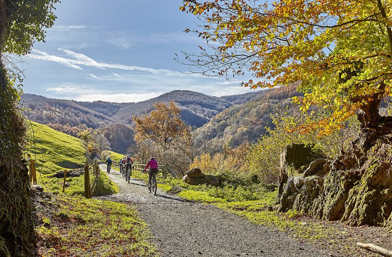 Vía Verde del Plazaola Javier Campos