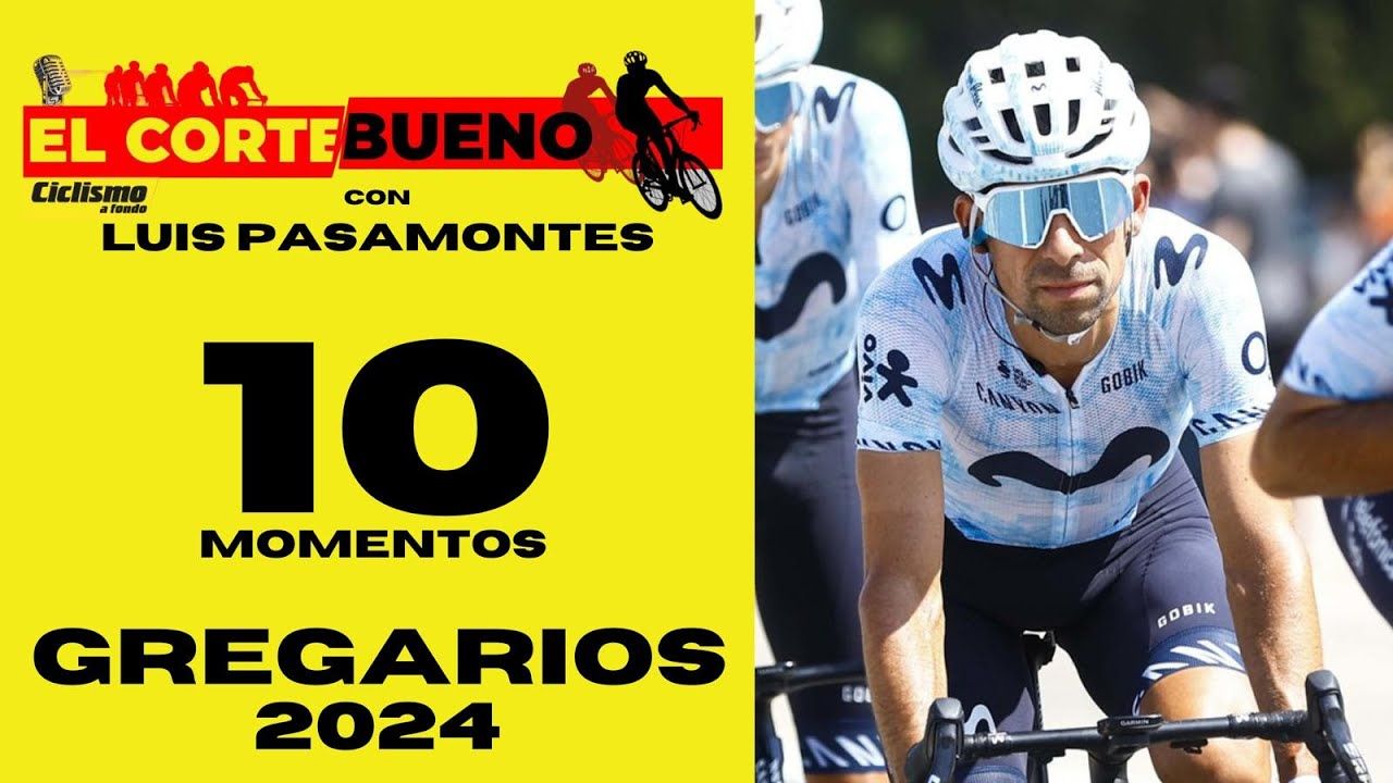 Los 10 mejores momentos de los gregarios en 2024 Los 10 mejores momentos de los gregarios en 2024