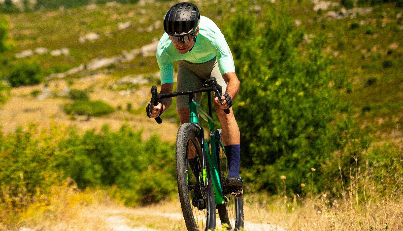 Wilier Rave SLR ID2