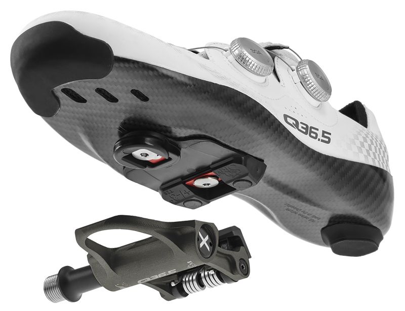 SRM X Q36.5