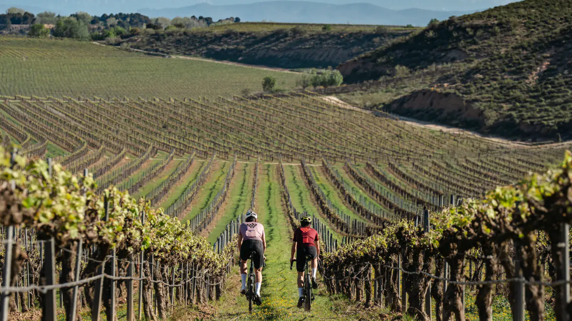 Un mes para Sommelier Gravel Raimat