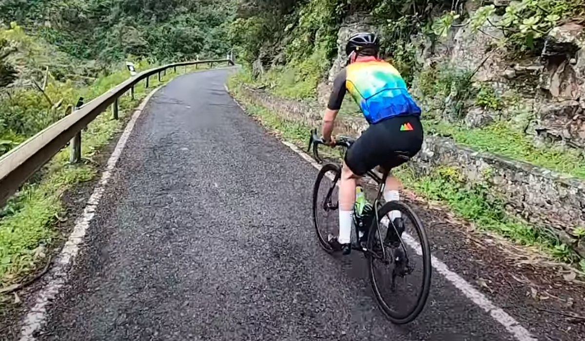 De ruta por el norte de Gran Canaria: Tilos de Moya y Pico de las Nieves