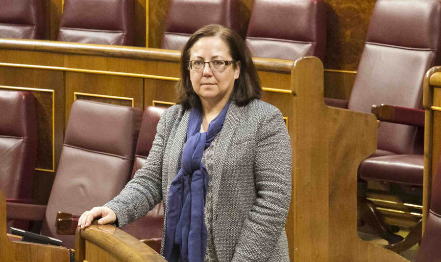 El voto ¿realmente útil? El voto ¿realmente útil?