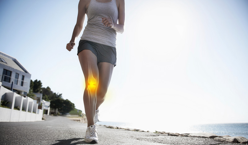 la rodilla sus partes y funciones la rodilla sus partes y funciones