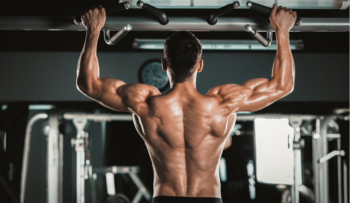 Rutina de ejercicios para cada grupo muscular