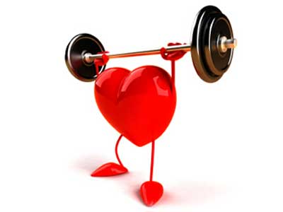 Corazon sano y con grasa