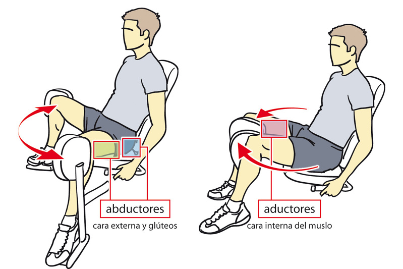 Resultado de imagen para Abductores