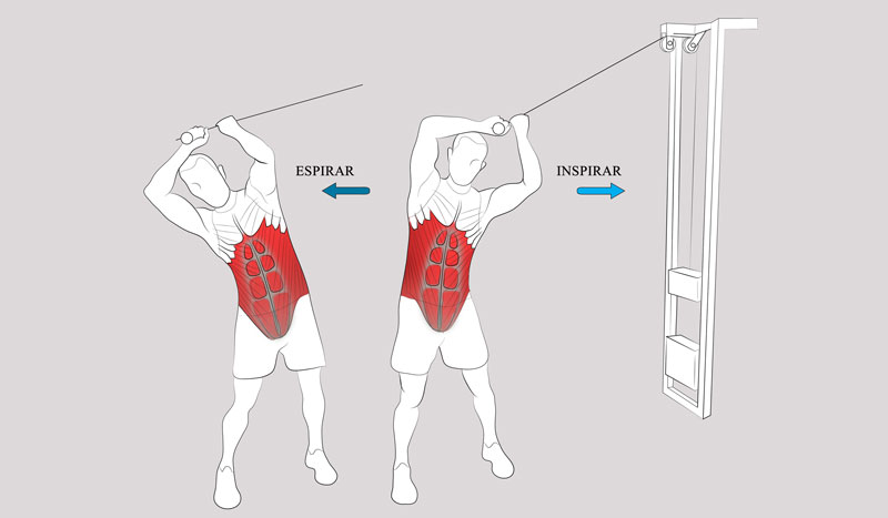 abs bicicletta abdominales