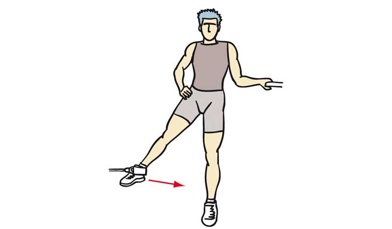 La pierna aductores de musculos