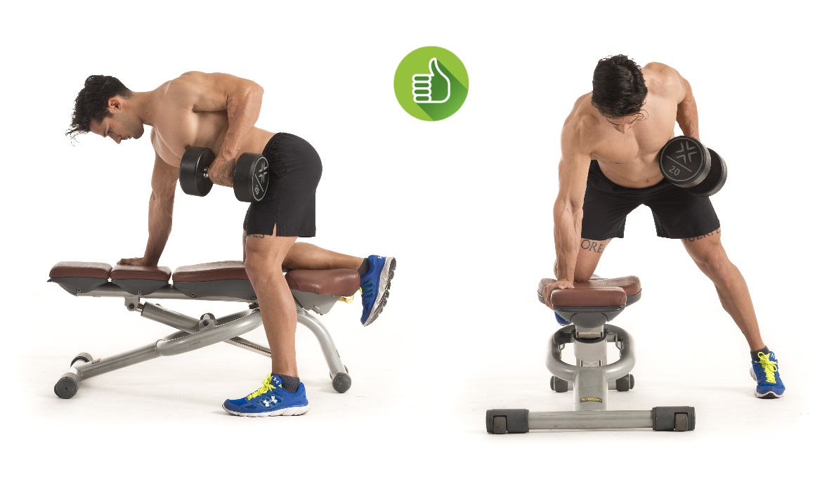 Dos Manos Remo Individual Mancuerna Curl Con Mancuerna Sentado