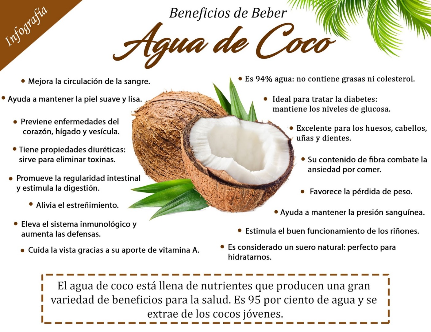 Beneficios del agua de coco para los rinones
