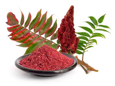 ¿Que es el sumac? El zumaque es una especia de la cocina ...