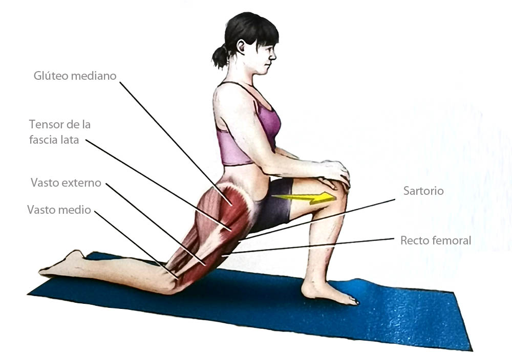 Los 12 estiramientos elementales Los 12 estiramientos elementales