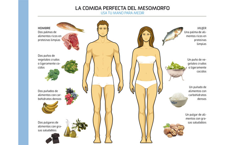 Come conforme a tu biotipo | Dietas y Nutrición | Sportlife