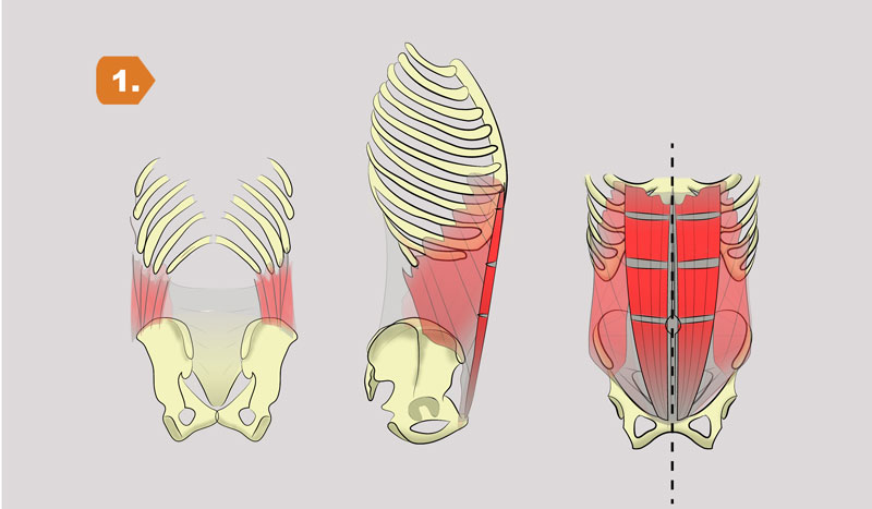 abs bicicletta abdominales