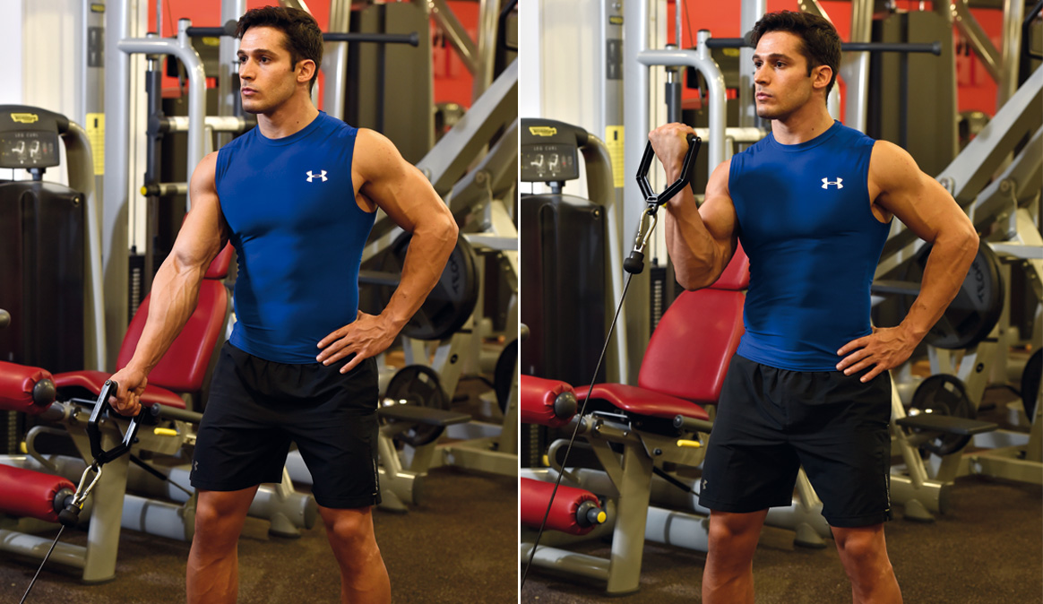 Los mejores ejercicios para muscular bíceps  Fitness 