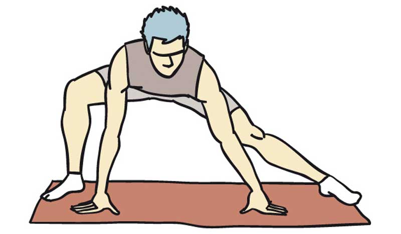 La pierna aductores de musculos