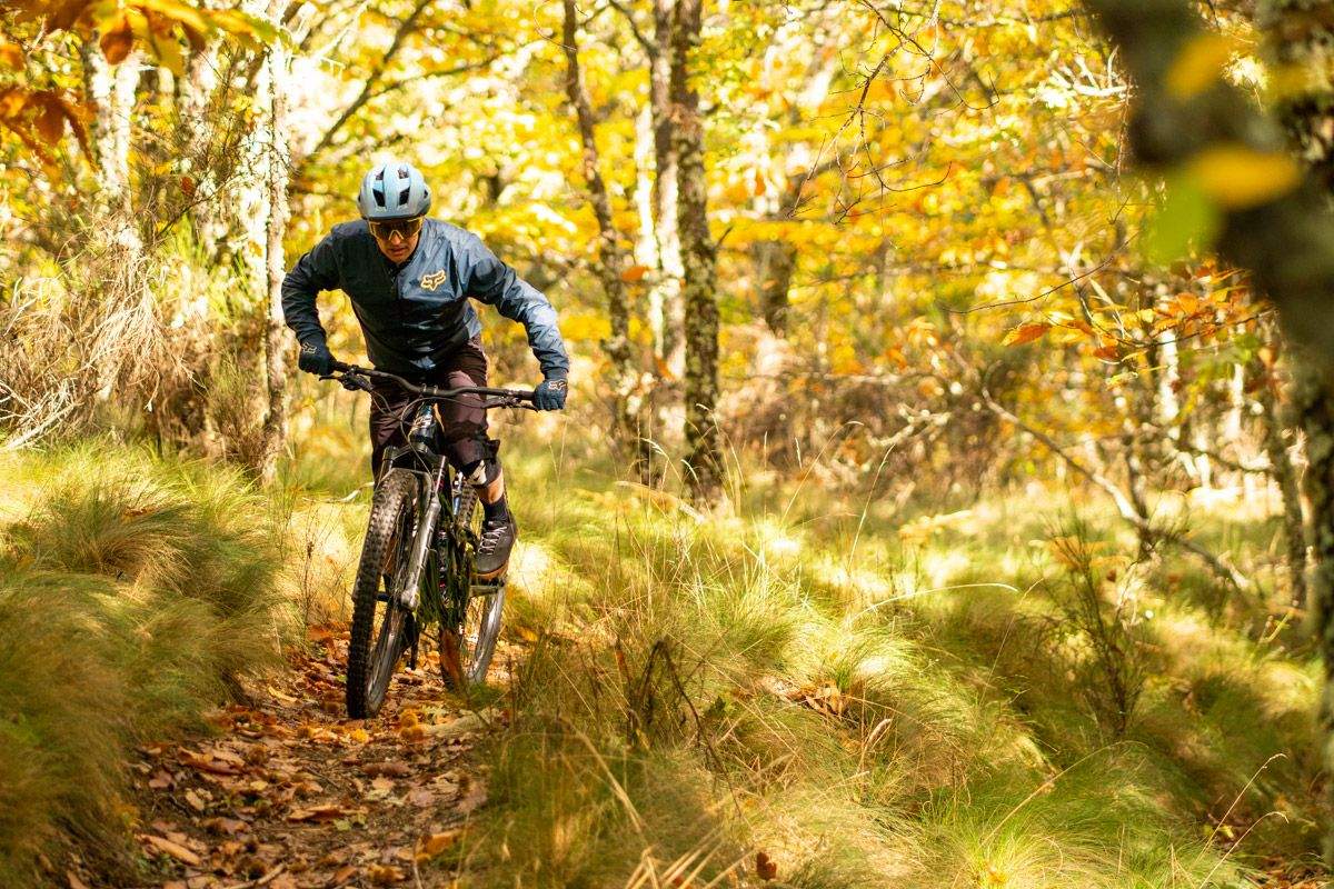 Prueba. GT Force Carbon Pro LE (9)