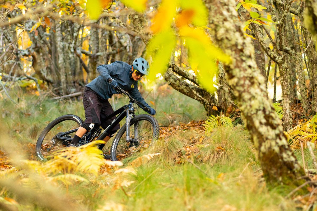 Prueba. GT Force Carbon Pro LE (8)