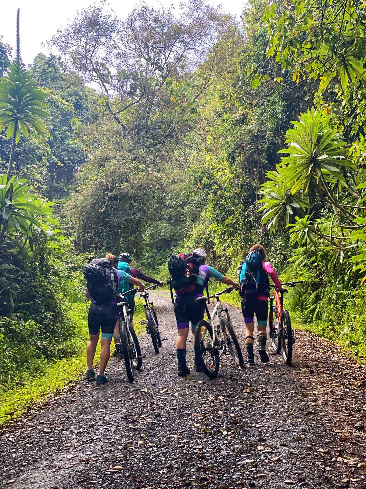 La Magia del Kilimanjaro. Arranca la aventura hacia la cima del Kilimanjaro