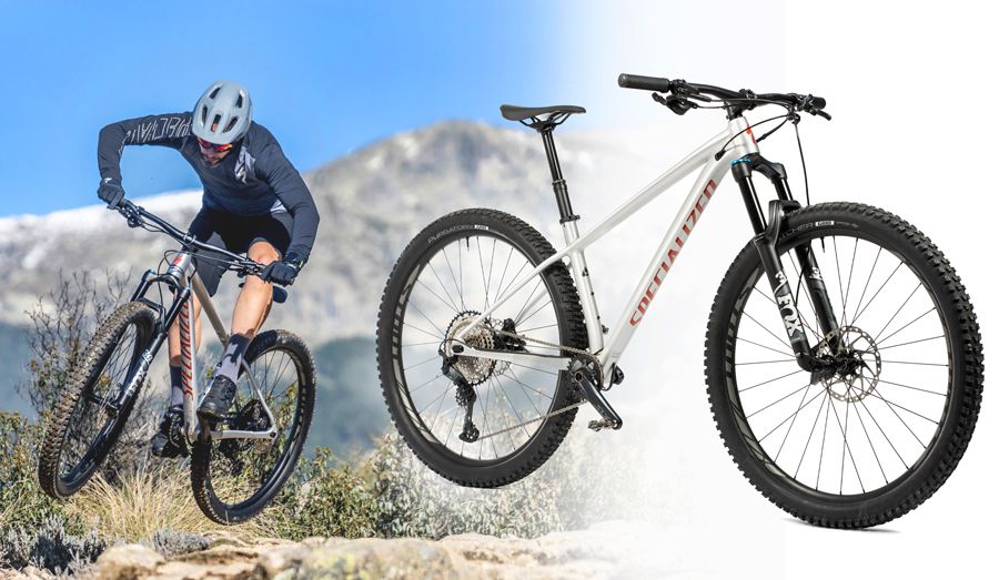 Specialized Fuse Expert 29