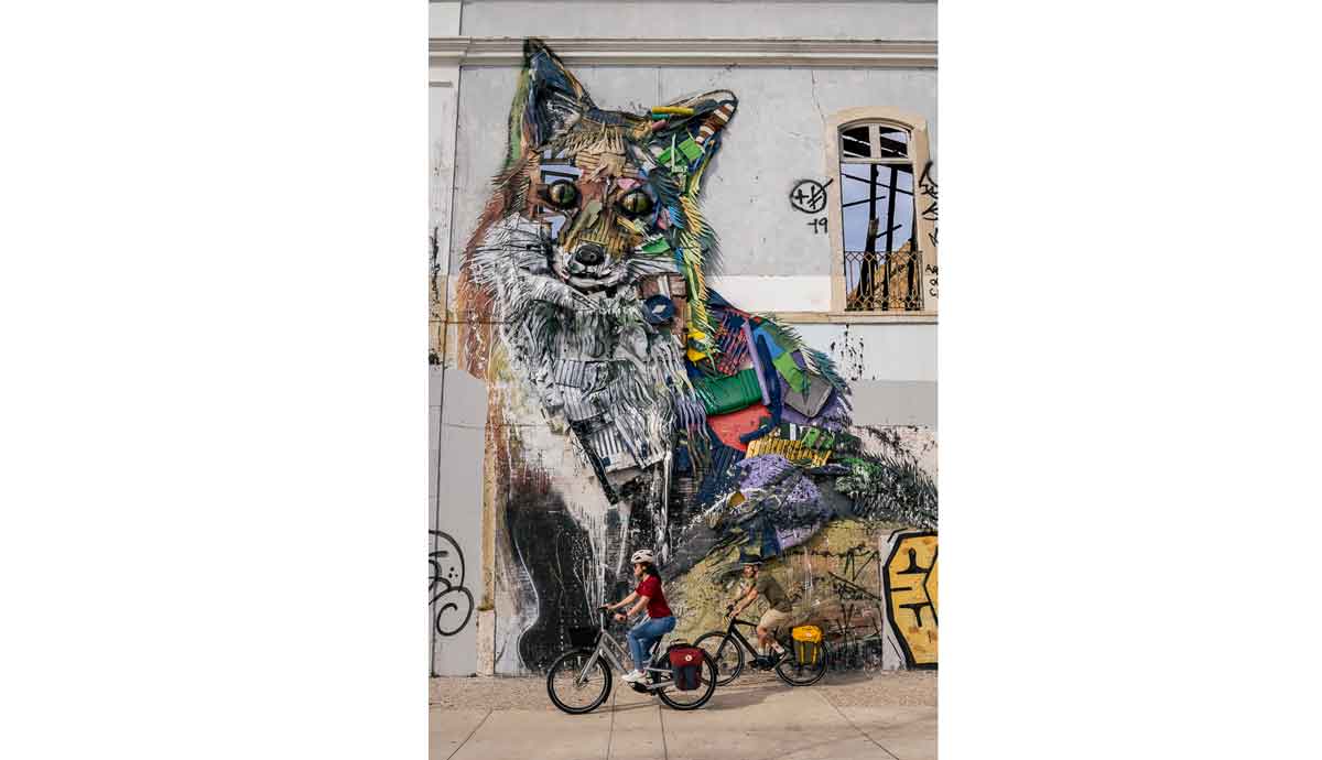 Specialized  Fjallraven la marca del zorro con el zorro de Lisboa