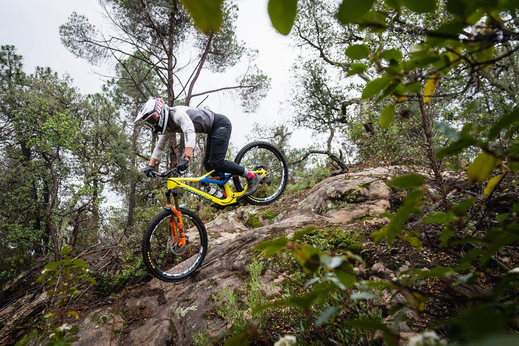 Orbea Fox