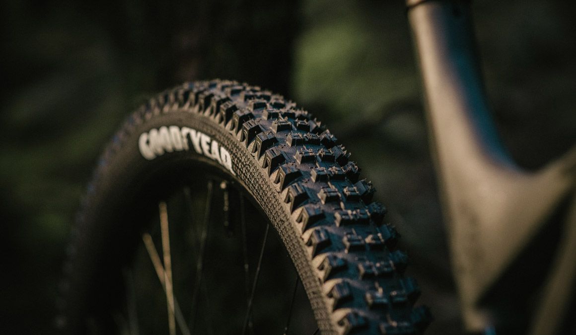 Nuevos neumáticos Goodyear Newton MTF y MTR Nuevos neumáticos Goodyear Newton MTF y MTR
