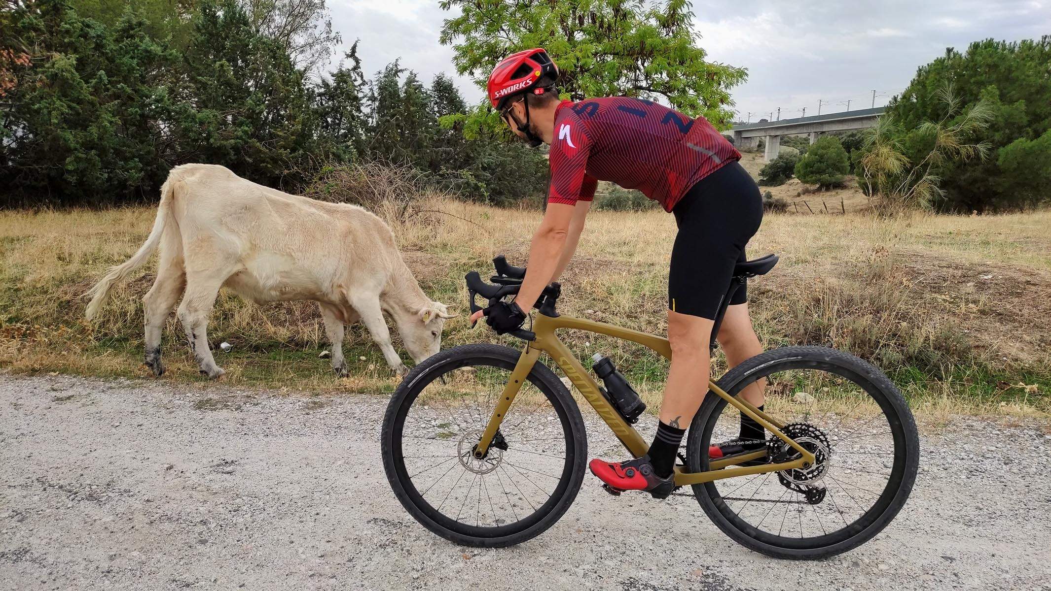 Specialized Diverge STR