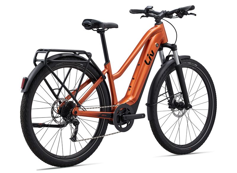MY23 Amiti E+ 2 Color A Copper Coin Rear