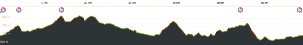 GraficMaraton23 1024x153