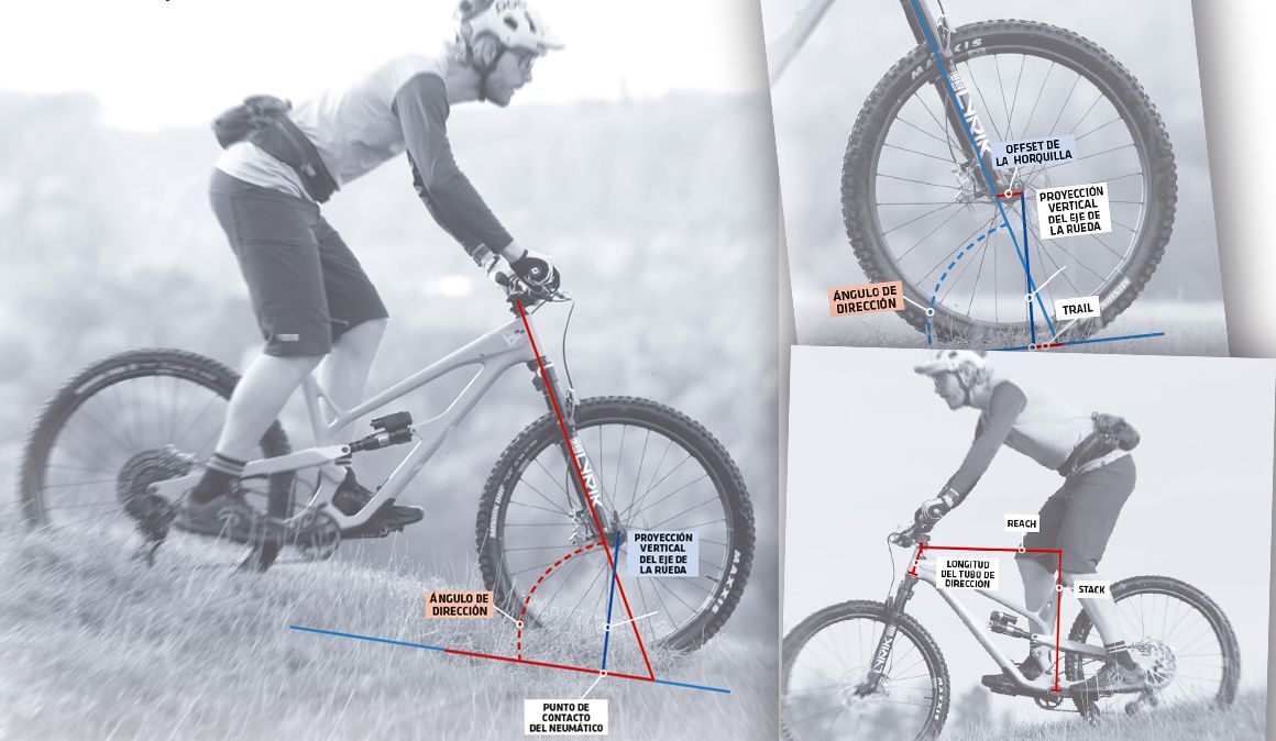 Geometría. Todo lo que debes saber para elegir una MTB Geometría. Todo lo que debes saber para elegir una MTB