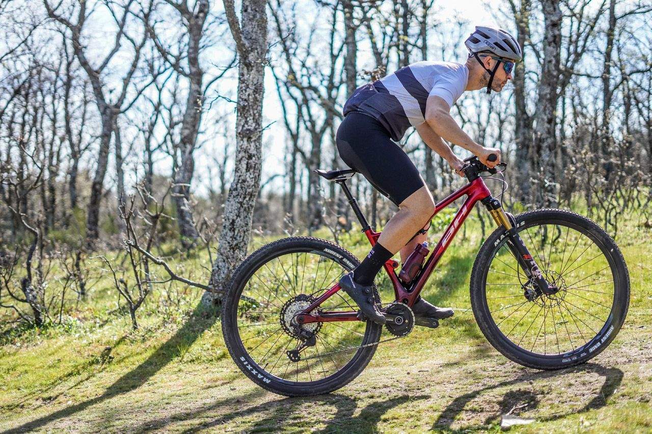 Rotor INspider MTB (15)