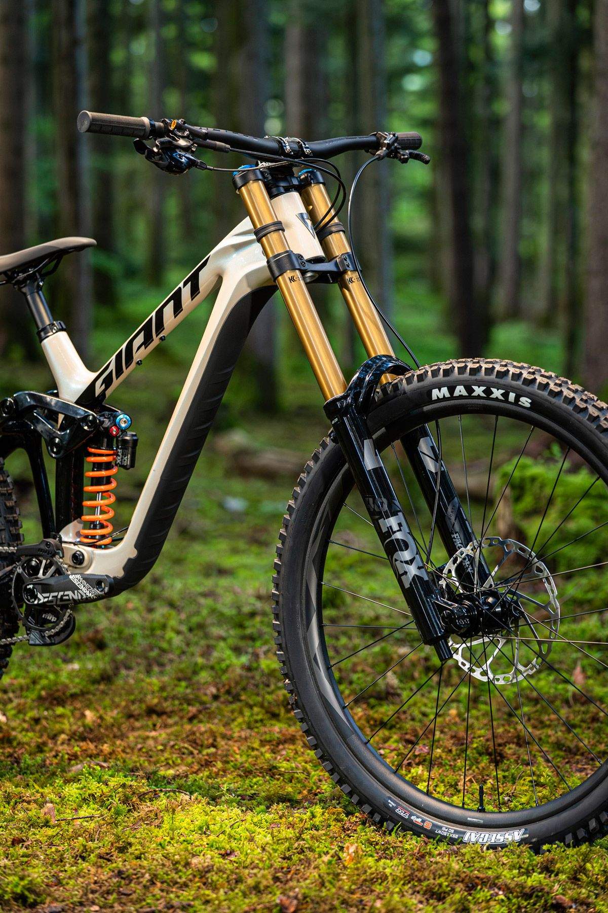 Giant presenta la nueva Glory de descenso (238)