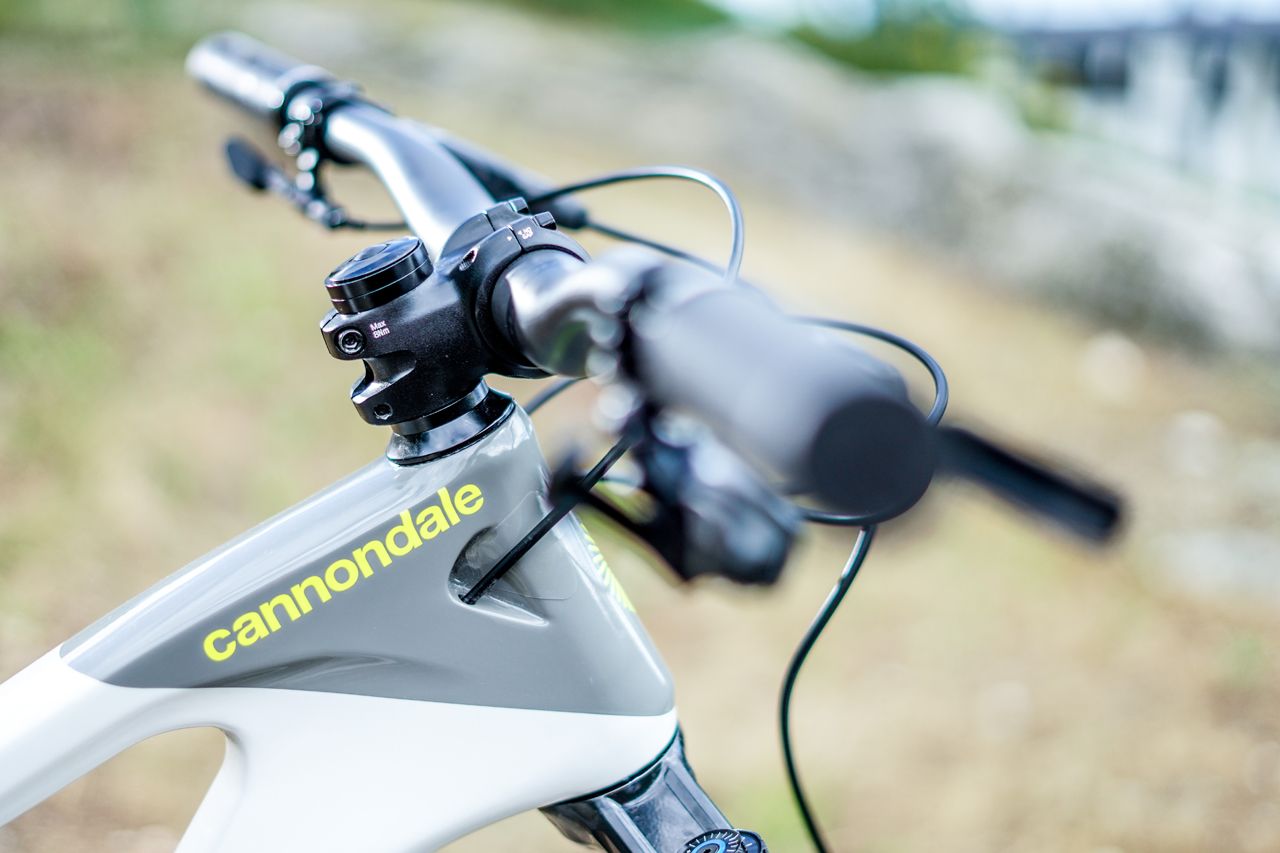 Cannondale habit LT 1 (24)