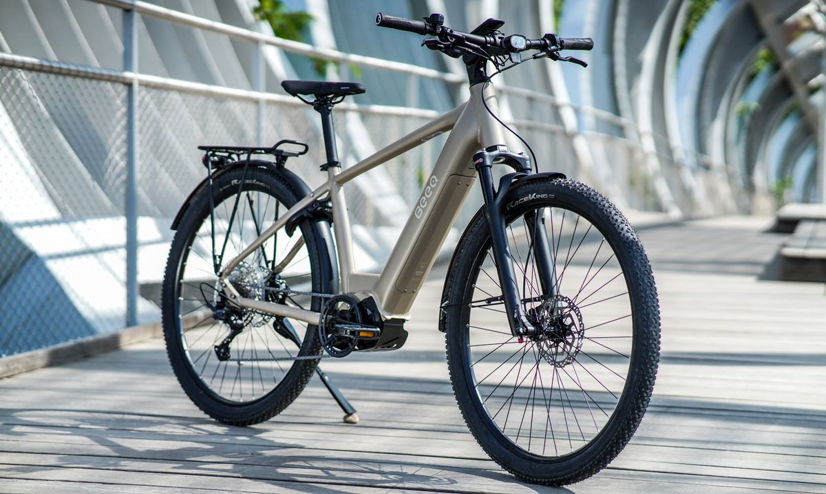 BEEQ E850 Trekking
