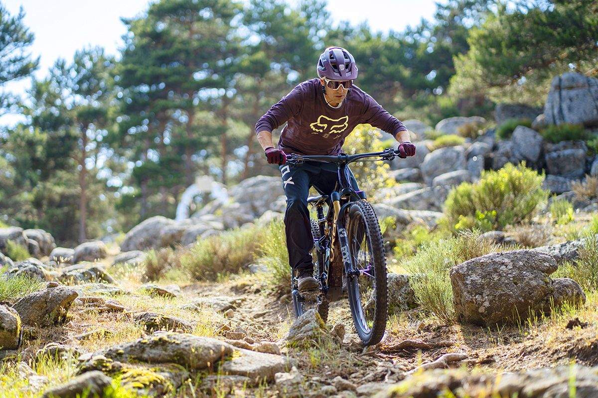 Accesorios Orbea Rise 11