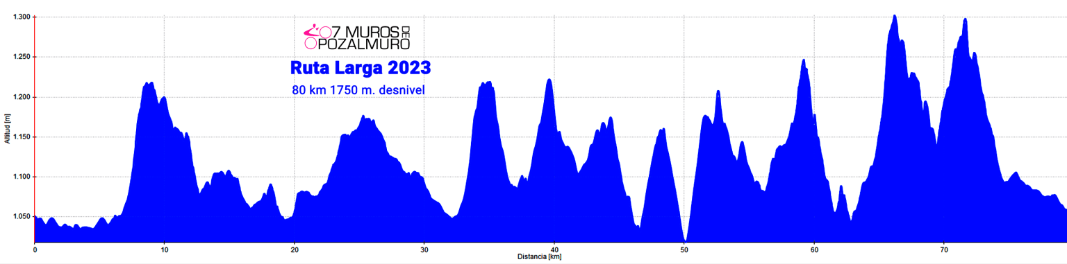 7M RLargo 2023 1536x381 7M RLargo 2023 1536x381