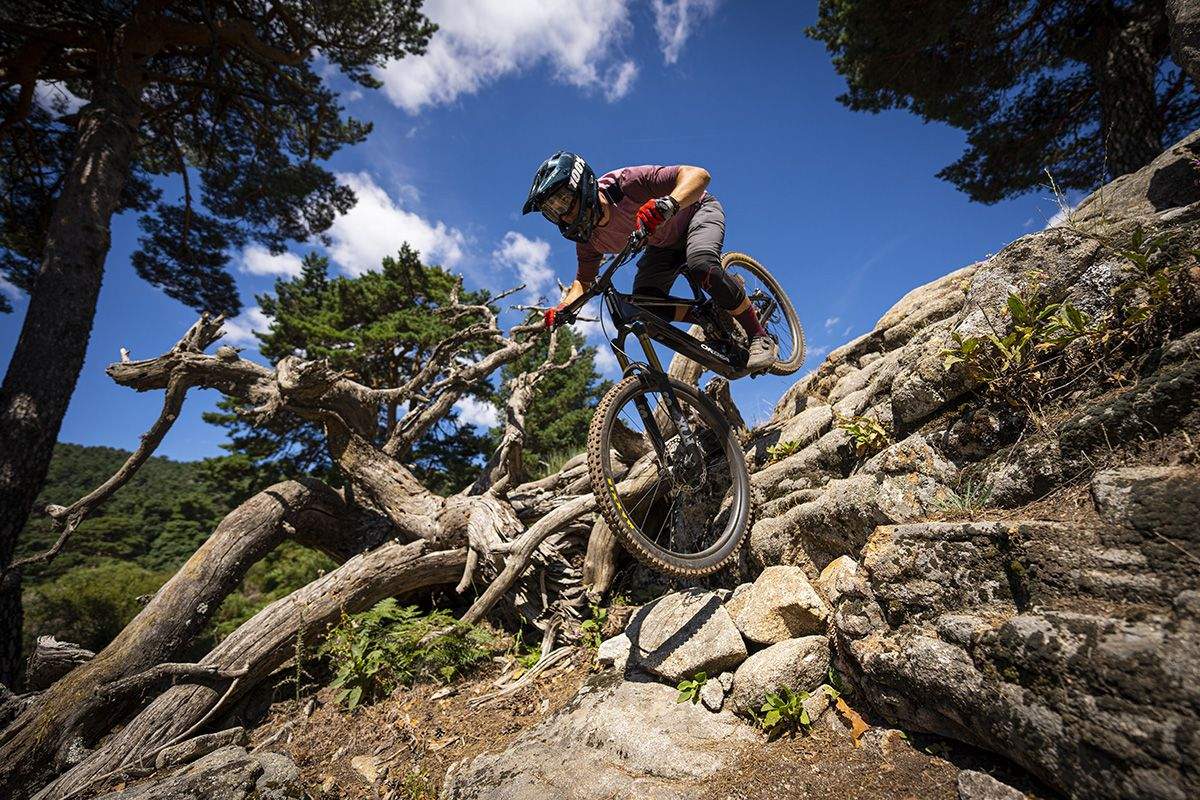 Acción Orbea Wild 06