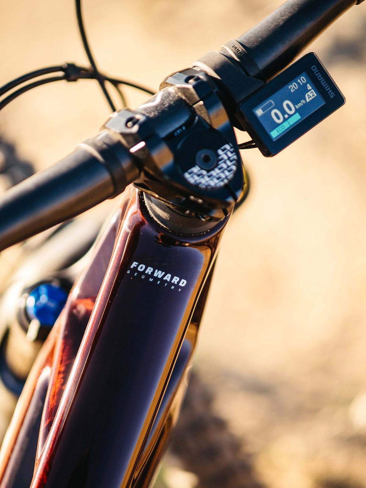 Mondraker Crusher (2)