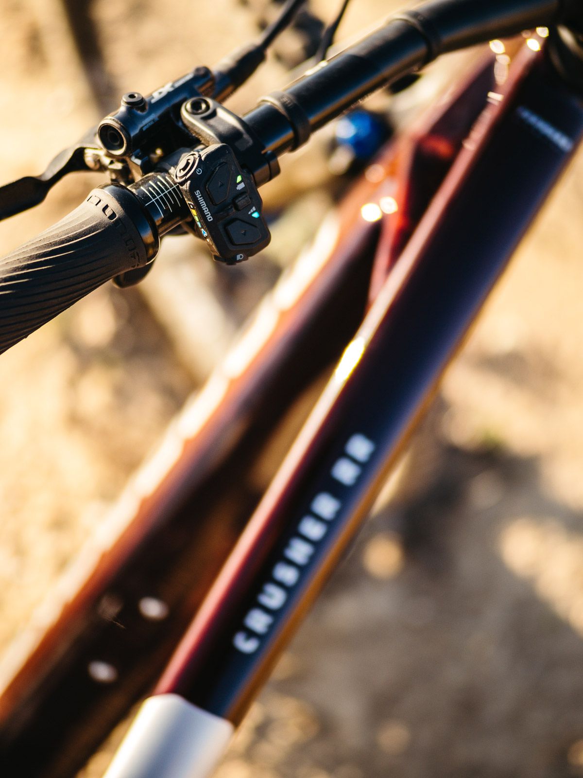 Mondraker Crusher (3)